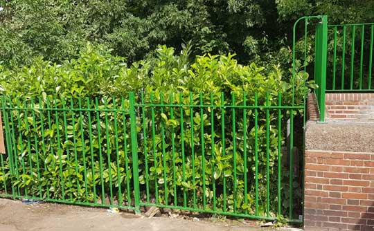 powder coated fence panels in Victoria park, Southend on sea 
